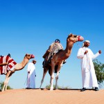 Zwei Kamele bei der Wüstensafari im Hotel Banyan Tree Al Wadi in Ras al Khaimah © Banyan Tree Hotel