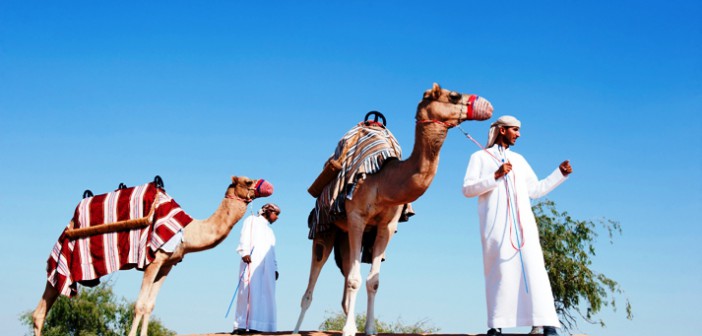 Zwei Kamele bei der Wüstensafari im Hotel Banyan Tree Al Wadi in Ras al Khaimah © Banyan Tree Hotel